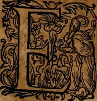 An illustration from Americæ nona & postrema pars : qua de ratione elementorum, de novi orbis natvra, de hvivs incolarvm svperstitiosis cultibus : deq; forma politiæ ac reipubl. ipsorum copiosè pertractatur : catalogo regnum Mexicanorum omnium, à primo vsq; ad vltimum Monteçuman II. additio ... : his accessit designatio illivs navigationis, quam 5. naves Hollandicae anno 1598. per fretum Magellanum in Moluccanas insulas tentarunt : quomodo nimirum oborta tempestate Capitaeus Sebalt de Weert à cæteris nauibus dispulsus, postquam plurimis mensibus in freto infinitis aerumnis miserè iactatus fuisset, tandem infectare post biennum an. 1600. domum reuersus sit : addita est tertio navigatio recens, quam 4. navium praefectus Olevier à Noort proximè suscepit ... : omnia è Germanico Latinitate donata, & insuper elegantissimis figuris æneis coornata editaq; sumptibus Theodori de Bry p.m. Viduæ & binorum filiorum (1602)