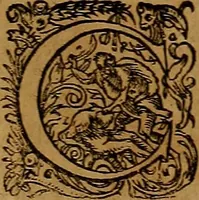 An illustration from Americæ nona & postrema pars : qua de ratione elementorum, de novi orbis natvra, de hvivs incolarvm svperstitiosis cultibus : deq; forma politiæ ac reipubl. ipsorum copiosè pertractatur : catalogo regnum Mexicanorum omnium, à primo vsq; ad vltimum Monteçuman II. additio ... : his accessit designatio illivs navigationis, quam 5. naves Hollandicae anno 1598. per fretum Magellanum in Moluccanas insulas tentarunt : quomodo nimirum oborta tempestate Capitaeus Sebalt de Weert à cæteris nauibus dispulsus, postquam plurimis mensibus in freto infinitis aerumnis miserè iactatus fuisset, tandem infectare post biennum an. 1600. domum reuersus sit : addita est tertio navigatio recens, quam 4. navium praefectus Olevier à Noort proximè suscepit ... : omnia è Germanico Latinitate donata, & insuper elegantissimis figuris æneis coornata editaq; sumptibus Theodori de Bry p.m. Viduæ & binorum filiorum (1602)