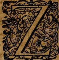 An illustration from Americæ nona & postrema pars : qua de ratione elementorum, de novi orbis natvra, de hvivs incolarvm svperstitiosis cultibus : deq; forma politiæ ac reipubl. ipsorum copiosè pertractatur : catalogo regnum Mexicanorum omnium, à primo vsq; ad vltimum Monteçuman II. additio ... : his accessit designatio illivs navigationis, quam 5. naves Hollandicae anno 1598. per fretum Magellanum in Moluccanas insulas tentarunt : quomodo nimirum oborta tempestate Capitaeus Sebalt de Weert à cæteris nauibus dispulsus, postquam plurimis mensibus in freto infinitis aerumnis miserè iactatus fuisset, tandem infectare post biennum an. 1600. domum reuersus sit : addita est tertio navigatio recens, quam 4. navium praefectus Olevier à Noort proximè suscepit ... : omnia è Germanico Latinitate donata, & insuper elegantissimis figuris æneis coornata editaq; sumptibus Theodori de Bry p.m. Viduæ & binorum filiorum (1602)