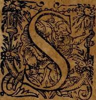 An illustration from Americæ nona & postrema pars : qua de ratione elementorum, de novi orbis natvra, de hvivs incolarvm svperstitiosis cultibus : deq; forma politiæ ac reipubl. ipsorum copiosè pertractatur : catalogo regnum Mexicanorum omnium, à primo vsq; ad vltimum Monteçuman II. additio ... : his accessit designatio illivs navigationis, quam 5. naves Hollandicae anno 1598. per fretum Magellanum in Moluccanas insulas tentarunt : quomodo nimirum oborta tempestate Capitaeus Sebalt de Weert à cæteris nauibus dispulsus, postquam plurimis mensibus in freto infinitis aerumnis miserè iactatus fuisset, tandem infectare post biennum an. 1600. domum reuersus sit : addita est tertio navigatio recens, quam 4. navium praefectus Olevier à Noort proximè suscepit ... : omnia è Germanico Latinitate donata, & insuper elegantissimis figuris æneis coornata editaq; sumptibus Theodori de Bry p.m. Viduæ & binorum filiorum (1602)
