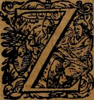 An illustration from Americæ nona & postrema pars : qua de ratione elementorum, de novi orbis natvra, de hvivs incolarvm svperstitiosis cultibus : deq; forma politiæ ac reipubl. ipsorum copiosè pertractatur : catalogo regnum Mexicanorum omnium, à primo vsq; ad vltimum Monteçuman II. additio ... : his accessit designatio illivs navigationis, quam 5. naves Hollandicae anno 1598. per fretum Magellanum in Moluccanas insulas tentarunt : quomodo nimirum oborta tempestate Capitaeus Sebalt de Weert à cæteris nauibus dispulsus, postquam plurimis mensibus in freto infinitis aerumnis miserè iactatus fuisset, tandem infectare post biennum an. 1600. domum reuersus sit : addita est tertio navigatio recens, quam 4. navium praefectus Olevier à Noort proximè suscepit ... : omnia è Germanico Latinitate donata, & insuper elegantissimis figuris æneis coornata editaq; sumptibus Theodori de Bry p.m. Viduæ & binorum filiorum (1602)