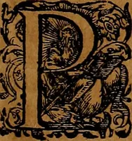 An illustration from Americæ nona & postrema pars : qua de ratione elementorum, de novi orbis natvra, de hvivs incolarvm svperstitiosis cultibus : deq; forma politiæ ac reipubl. ipsorum copiosè pertractatur : catalogo regnum Mexicanorum omnium, à primo vsq; ad vltimum Monteçuman II. additio ... : his accessit designatio illivs navigationis, quam 5. naves Hollandicae anno 1598. per fretum Magellanum in Moluccanas insulas tentarunt : quomodo nimirum oborta tempestate Capitaeus Sebalt de Weert à cæteris nauibus dispulsus, postquam plurimis mensibus in freto infinitis aerumnis miserè iactatus fuisset, tandem infectare post biennum an. 1600. domum reuersus sit : addita est tertio navigatio recens, quam 4. navium praefectus Olevier à Noort proximè suscepit ... : omnia è Germanico Latinitate donata, & insuper elegantissimis figuris æneis coornata editaq; sumptibus Theodori de Bry p.m. Viduæ & binorum filiorum (1602)