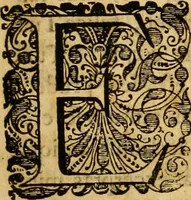 Picture 5 of 43 from Ammiani Marcellini Rerum gestarum qui de XXXI supersunt, libri XVIII (1693), leaf 10