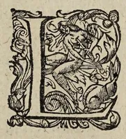 An illustration from Amnestie : ou, De l'oubliance des maux faicts et receus pendant les troubles & à l'occasion d'iceux. (1595)