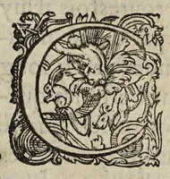 An illustration from Amnestie : ou, De l'oubliance des maux faicts et receus pendant les troubles & à l'occasion d'iceux. (1595)