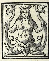 An illustration from Amore (1535)