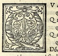 An illustration from Amore (1535)