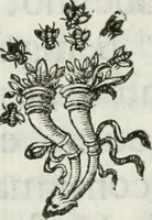 An illustration from Documenti d'amore (1640)