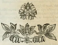 An illustration from Documenti d'amore (1640)
