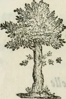 An illustration from Documenti d'amore (1640)