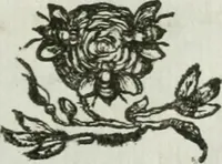 An illustration from Documenti d'amore (1640)