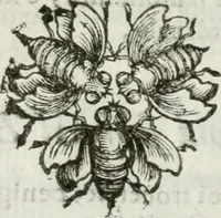 An illustration from Documenti d'amore (1640)