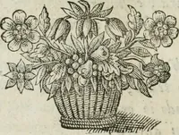 An illustration from Documenti d'amore (1640)
