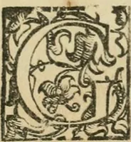 An illustration from Documenti d'amore (1640)
