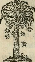An illustration from Documenti d'amore (1640)