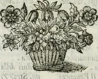 An illustration from Documenti d'amore (1640)