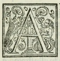An illustration from Documenti d'amore (1640)