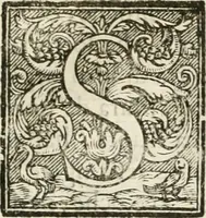 An illustration from Amore prigioniero in Delo : torneo fatto da' signori Academici torbidi in Bologna li XX. di marzo M.DC.XXVIII (1628)
