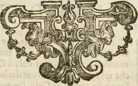 An illustration from Amore prigioniero in Delo : torneo fatto da' signori Academici torbidi in Bologna li XX. di marzo M.DC.XXVIII (1628)