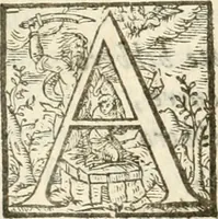An illustration from Amore prigioniero in Delo : torneo fatto da' signori Academici torbidi in Bologna li XX. di marzo M.DC.XXVIII (1628)