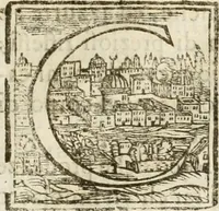 Picture 48 of 69 from Amore prigioniero in Delo : torneo fatto da' signori Academici torbidi in Bologna li XX. di marzo M.DC.XXVIII (1628), leaf 118