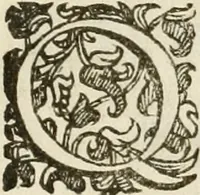 An illustration from Amore prigioniero in Delo : torneo fatto da' signori Academici torbidi in Bologna li XX. di marzo M.DC.XXVIII (1628)