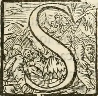 An illustration from Amore prigioniero in Delo : torneo fatto da' signori Academici torbidi in Bologna li XX. di marzo M.DC.XXVIII (1628)