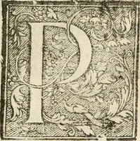 An illustration from Amore prigioniero in Delo : torneo fatto da' signori Academici torbidi in Bologna li XX. di marzo M.DC.XXVIII (1628)