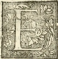An illustration from Amore prigioniero in Delo : torneo fatto da' signori Academici torbidi in Bologna li XX. di marzo M.DC.XXVIII (1628)