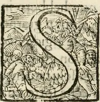 Picture 10 of 69 from Amore prigioniero in Delo : torneo fatto da' signori Academici torbidi in Bologna li XX. di marzo M.DC.XXVIII (1628), leaf 30