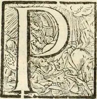 An illustration from Amore prigioniero in Delo : torneo fatto da' signori Academici torbidi in Bologna li XX. di marzo M.DC.XXVIII (1628)