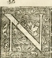 An illustration from Amore prigioniero in Delo : torneo fatto da' signori Academici torbidi in Bologna li XX. di marzo M.DC.XXVIII (1628)