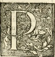 An illustration from Amore prigioniero in Delo : torneo fatto da' signori Academici torbidi in Bologna li XX. di marzo M.DC.XXVIII (1628)