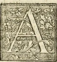 An illustration from Amore prigioniero in Delo : torneo fatto da' signori Academici torbidi in Bologna li XX. di marzo M.DC.XXVIII (1628)