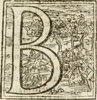 An illustration from Amore prigioniero in Delo : torneo fatto da' signori Academici torbidi in Bologna li XX. di marzo M.DC.XXVIII (1628)