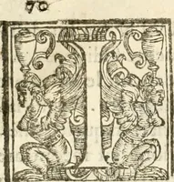An illustration from Amore prigioniero in Delo : torneo fatto da' signori Academici torbidi in Bologna li XX. di marzo M.DC.XXVIII (1628)