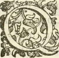 An illustration from Amore prigioniero in Delo : torneo fatto da' signori Academici torbidi in Bologna li XX. di marzo M.DC.XXVIII (1628)