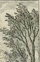 An illustration from Amoris divini emblemata (1660)