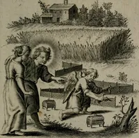 Picture 16 of 98 from Amoris divini et humani antipathia, sive effectus varij, e varijs Sacrae Scripturae locis deprompti, elblematis suis expressi ... (1629), leaf 82