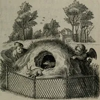 Picture 18 of 98 from Amoris divini et humani antipathia, sive effectus varij, e varijs Sacrae Scripturae locis deprompti, elblematis suis expressi ... (1629), leaf 90