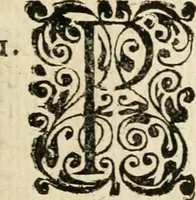 An illustration from Mater amoris et doloris : quam Christus in cruce moriens omnibus ac singulis suis fidelibus in matrem legavit, ecce mater tua : nunc explicata per sacra emblemata, figuras scripturae quàm plurimas, conceptus varios praedicabiles, SS. patrum sententias, raras historias, & pios ad Jesum patientem, ac sanctissimam matrem ejus compatientem affectus : opus omnibus Jesum & Mariam amantibus, praedicantibus, aut meditantibus perutile, com triplici indice considerationum, rerum memorabilium, & concionatorio, formandis per annum concionibus opportuno (1726)