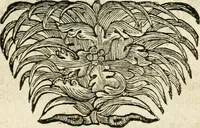 An illustration from Mater amoris et doloris : quam Christus in cruce moriens omnibus ac singulis suis fidelibus in matrem legavit, ecce mater tua : nunc explicata per sacra emblemata, figuras scripturae quàm plurimas, conceptus varios praedicabiles, SS. patrum sententias, raras historias, & pios ad Jesum patientem, ac sanctissimam matrem ejus compatientem affectus : opus omnibus Jesum & Mariam amantibus, praedicantibus, aut meditantibus perutile, com triplici indice considerationum, rerum memorabilium, & concionatorio, formandis per annum concionibus opportuno (1726)