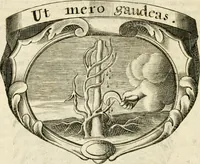 An illustration from Mater amoris et doloris : quam Christus in cruce moriens omnibus ac singulis suis fidelibus in matrem legavit, ecce mater tua : nunc explicata per sacra emblemata, figuras scripturae quàm plurimas, conceptus varios praedicabiles, SS. patrum sententias, raras historias, & pios ad Jesum patientem, ac sanctissimam matrem ejus compatientem affectus : opus omnibus Jesum & Mariam amantibus, praedicantibus, aut meditantibus perutile, com triplici indice considerationum, rerum memorabilium, & concionatorio, formandis per annum concionibus opportuno (1726)