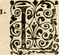 An illustration from Mater amoris et doloris : quam Christus in cruce moriens omnibus ac singulis suis fidelibus in matrem legavit, ecce mater tua : nunc explicata per sacra emblemata, figuras scripturae quàm plurimas, conceptus varios praedicabiles, SS. patrum sententias, raras historias, & pios ad Jesum patientem, ac sanctissimam matrem ejus compatientem affectus : opus omnibus Jesum & Mariam amantibus, praedicantibus, aut meditantibus perutile, com triplici indice considerationum, rerum memorabilium, & concionatorio, formandis per annum concionibus opportuno (1726)