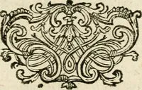 An illustration from Mater amoris et doloris : quam Christus in cruce moriens omnibus ac singulis suis fidelibus in matrem legavit, ecce mater tua : nunc explicata per sacra emblemata, figuras scripturae quàm plurimas, conceptus varios praedicabiles, SS. patrum sententias, raras historias, & pios ad Jesum patientem, ac sanctissimam matrem ejus compatientem affectus : opus omnibus Jesum & Mariam amantibus, praedicantibus, aut meditantibus perutile, com triplici indice considerationum, rerum memorabilium, & concionatorio, formandis per annum concionibus opportuno (1726)