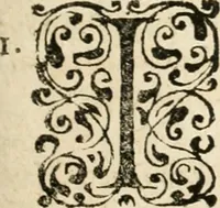 An illustration from Mater amoris et doloris : quam Christus in cruce moriens omnibus ac singulis suis fidelibus in matrem legavit, ecce mater tua : nunc explicata per sacra emblemata, figuras scripturae quàm plurimas, conceptus varios praedicabiles, SS. patrum sententias, raras historias, & pios ad Jesum patientem, ac sanctissimam matrem ejus compatientem affectus : opus omnibus Jesum & Mariam amantibus, praedicantibus, aut meditantibus perutile, com triplici indice considerationum, rerum memorabilium, & concionatorio, formandis per annum concionibus opportuno (1726)