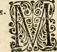 An illustration from Mater amoris et doloris : quam Christus in cruce moriens omnibus ac singulis suis fidelibus in matrem legavit, ecce mater tua : nunc explicata per sacra emblemata, figuras scripturae quàm plurimas, conceptus varios praedicabiles, SS. patrum sententias, raras historias, & pios ad Jesum patientem, ac sanctissimam matrem ejus compatientem affectus : opus omnibus Jesum & Mariam amantibus, praedicantibus, aut meditantibus perutile, com triplici indice considerationum, rerum memorabilium, & concionatorio, formandis per annum concionibus opportuno (1726)
