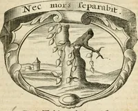 An illustration from Mater amoris et doloris : quam Christus in cruce moriens omnibus ac singulis suis fidelibus in matrem legavit, ecce mater tua : nunc explicata per sacra emblemata, figuras scripturae quàm plurimas, conceptus varios praedicabiles, SS. patrum sententias, raras historias, & pios ad Jesum patientem, ac sanctissimam matrem ejus compatientem affectus : opus omnibus Jesum & Mariam amantibus, praedicantibus, aut meditantibus perutile, com triplici indice considerationum, rerum memorabilium, & concionatorio, formandis per annum concionibus opportuno (1726)