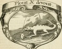 An illustration from Mater amoris et doloris : quam Christus in cruce moriens omnibus ac singulis suis fidelibus in matrem legavit, ecce mater tua : nunc explicata per sacra emblemata, figuras scripturae quàm plurimas, conceptus varios praedicabiles, SS. patrum sententias, raras historias, & pios ad Jesum patientem, ac sanctissimam matrem ejus compatientem affectus : opus omnibus Jesum & Mariam amantibus, praedicantibus, aut meditantibus perutile, com triplici indice considerationum, rerum memorabilium, & concionatorio, formandis per annum concionibus opportuno (1726)