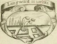 An illustration from Mater amoris et doloris : quam Christus in cruce moriens omnibus ac singulis suis fidelibus in matrem legavit, ecce mater tua : nunc explicata per sacra emblemata, figuras scripturae quàm plurimas, conceptus varios praedicabiles, SS. patrum sententias, raras historias, & pios ad Jesum patientem, ac sanctissimam matrem ejus compatientem affectus : opus omnibus Jesum & Mariam amantibus, praedicantibus, aut meditantibus perutile, com triplici indice considerationum, rerum memorabilium, & concionatorio, formandis per annum concionibus opportuno (1726)